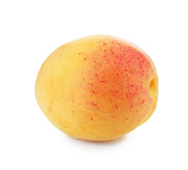 One fresh ripe apricot isolated on white