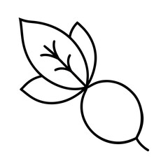 Blueberry Leaf Minimal Botanical Line Drawing with Elegant Detailing Vector illustration