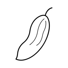 Cucumber Leaf Botanical Minimal Line Drawing with Graceful Natural Detailing Vector illustration