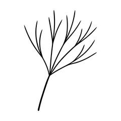 Obraz premium Dill Leaf Minimal Botanical Line Drawing with Graceful Natural Detailing Vector illustration