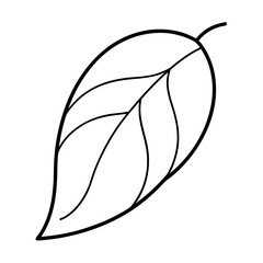 Mango Leaf Minimal Botanical Line Drawing with Elegant Natural Detailing Vector illustration