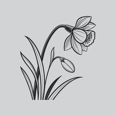 Bold Floral Silhouette of Ranunculus Bloom