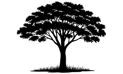 Elegant silhouette of a large tree with wide branches, lush foliage, strong roots, and detailed leaves, representing the beauty of nature and life