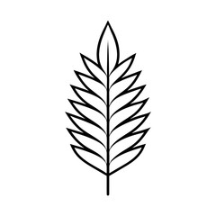 Obraz premium Pine Leaf Elegant Botanical Line Art Depiction with Graceful Minimal Detailing Vector illustration