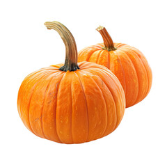 Obraz premium Two pumpkins, autumn harvest, studio shot, food photography, recipe ingredient