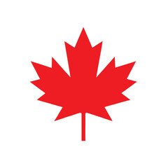 Vector of canadian maple leaf on white background.
