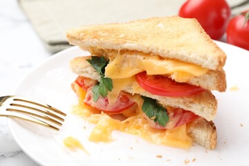Tasty sandwiches with melted cheese, tomatoes and parsley on table, closeup