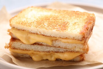 Tasty sandwiches with melted cheese and parsley on plate, closeup