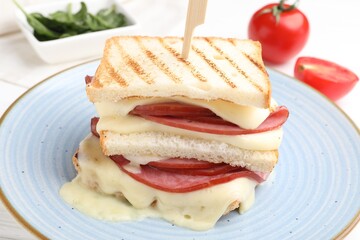 Delicious sandwich with melted cheese on table, closeup