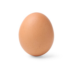 One raw chicken egg isolated on white