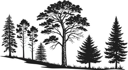 Fototapeta premium Pine tree silhouettes. Evergreen forest firs and spruces black shapes, wild nature trees templates. Vector illustration woodland trees set on white background. black silhouette vector illustration 