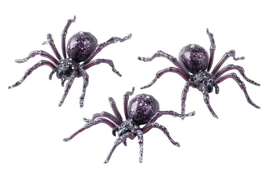 Three glittery purple spiders with clear legs on black isolated on a transparent background insect arachnid - Powered by Adobe