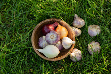 Top view image of a rustic wooden plate filled with fresh garlic bulbs and onions placed on green grass in a garden setting, symbolizing organic farming, natural produce, and farm-to-table freshness