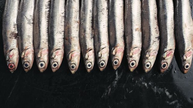 Fresh Sea sardines and Anchovy Fish and Mullus On Display On Ice On Market Store Shop. Seafood Fish Background, sprats, smelt close up stand of small salty white fish.