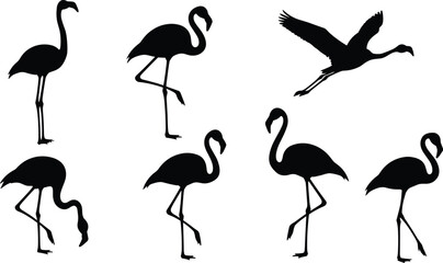 Silhouettes of flamingos in various poses, standing, walking, flying, tropical bird shapes, elegant long legs, black shadow animal figures isolated background
