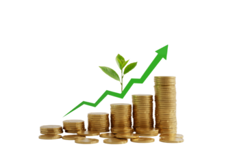 Showcasing the essence of successful investment, this image portrays a flourishing plant growing from golden coin stacks, symbolizing robust financial growth and the path to prosperity.