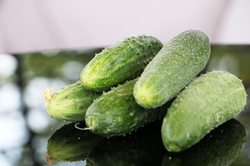 Fresh cucumbers on a black mirror background.