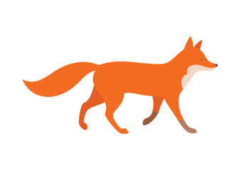 Fototapeta premium Stylized red fox walking with a bushy tail vector illustration