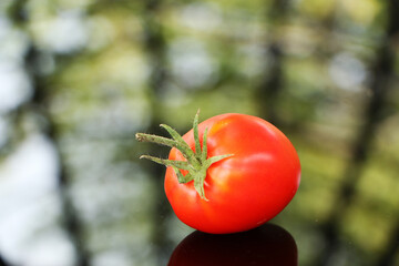 Fresh tomatoes on a black mirror background.