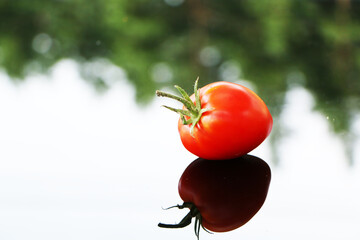 Fresh tomatoes on a black mirror background.