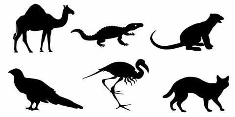 Vector silhouette illustration featuring a camel, crocodile, otter, pheasant, flamingo and cat in black color