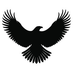 eagle on white background