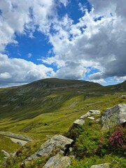 Beautiful vertical landscape on high alpine Transalpina Road in Parang Mountains with flowers, grass, rocks and blue summer sky with white clouds. Valcea, Romania