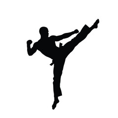 Black silhouette martial artist performing high kick