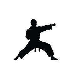 Black silhouette martial artist striking with fist