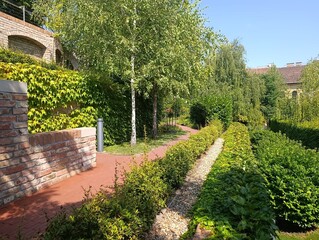 A relaxing walk in the summer green garden