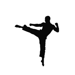 Martial arts fighter performing front kick silhouette