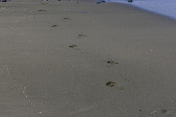 Footprints in Sand on Cyprus Beach Shore