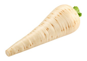 A single fresh parsnip root vegetable with a green stem isolated on transparent background