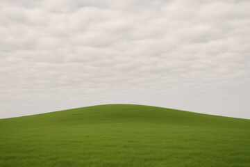 Fototapeta premium Minimalist landscape featuring a lush green grassy hill rising gently beneath an overcast sky, creating a serene and tranquil atmosphere
