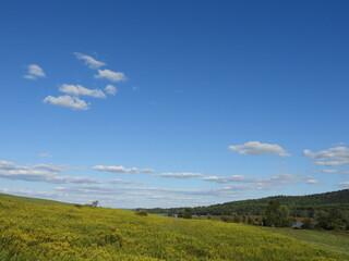 Fototapeta premium The picturesque scenery of the wilderness that surrounds the lake, nestled within the Middle Creek Wildlife Management Area, Lancaster County, Pennsylvania.