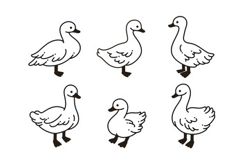 Domestic fowl. Vector contour illustration of duck.