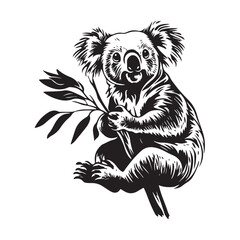 Obraz premium koala, animal, vector, transparent background