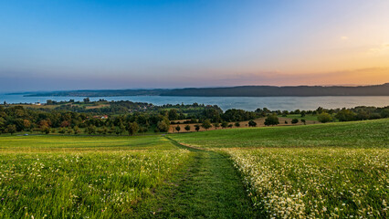 Summer evening at Lake Constance with view over meadows and fields