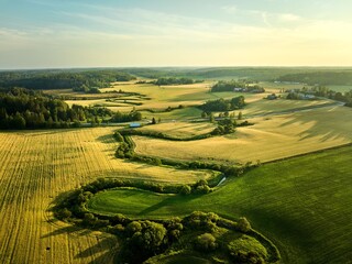 Aerial view of lush fields under clear sky.