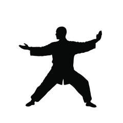 Silhouette person performing tai chi cloud hands practitioner