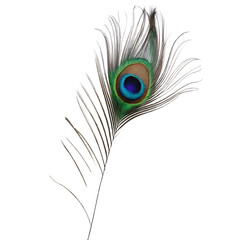 Fototapeta premium Elegant peacock feather with eye detail isolated on a transparent background iridescent