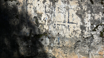 Ancient carvings on a weathered stone wall in a secluded forest