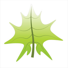 Green leaf wavy element Vector