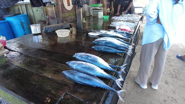 A roadside fresh seafood market in Galle, Sri Lanka