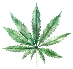 PNG Green cannabis leaf herbal plant herbs.