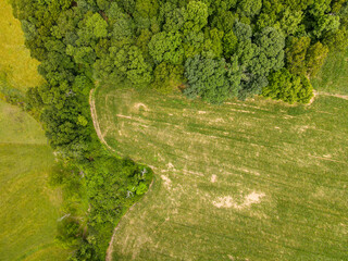 Aerial top down of corn field farmland in the Appalachian mountains in rural Central Pennsylvania