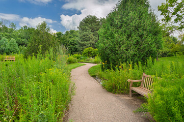 A Peaceful Midwest Prairie Path Lined with Tall Grasses and Benches