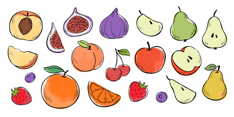 Set of different fruits isolated on white background. Vector line illustration with watercolor stains. Apples, pears, figs, cherry, strawberries, orange, peach and blueberries.