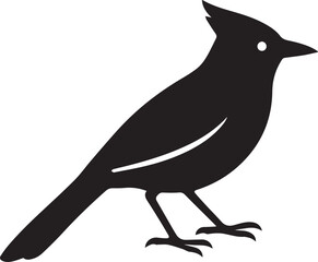 Blue Jay Bird Silhouette Vector with isolated Background