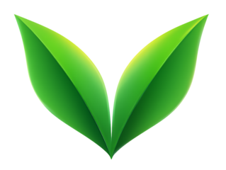 Two symmetrical vibrant green glossy leaves with bright highlights symbolizing nature and growth on a black background